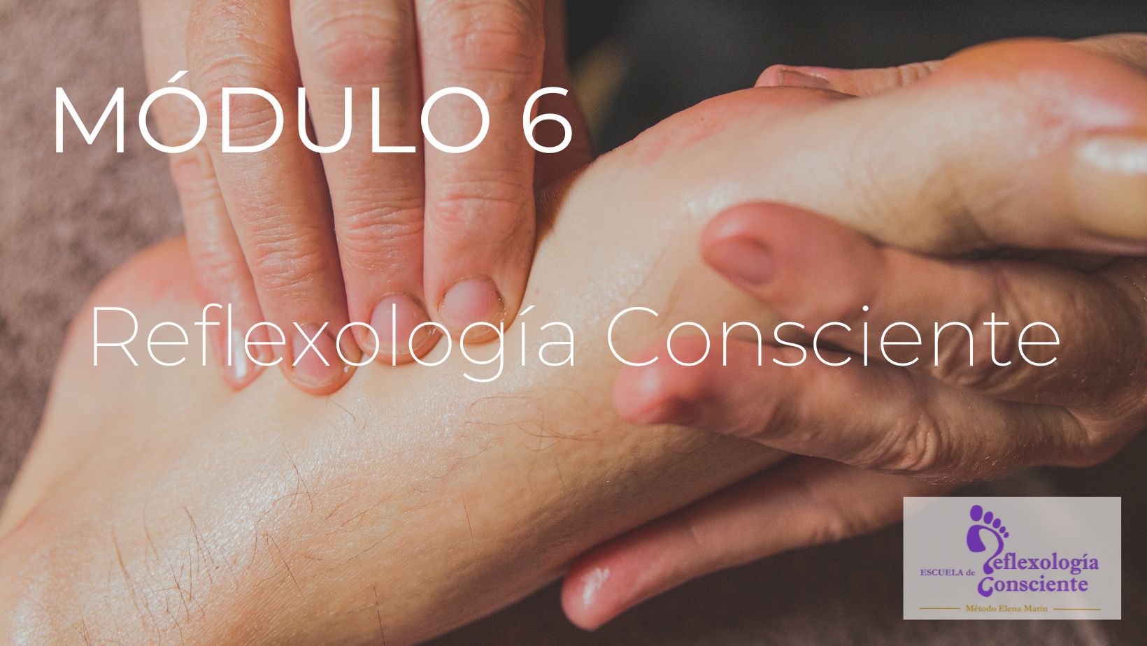 Reflexología Consciente. Módulo 6